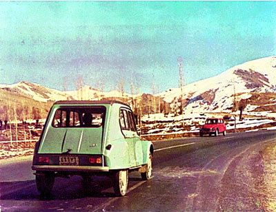 Iranian Saipac Citron Jiane
                                      602