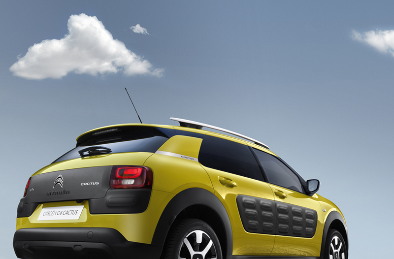 Citron C4 Cactus