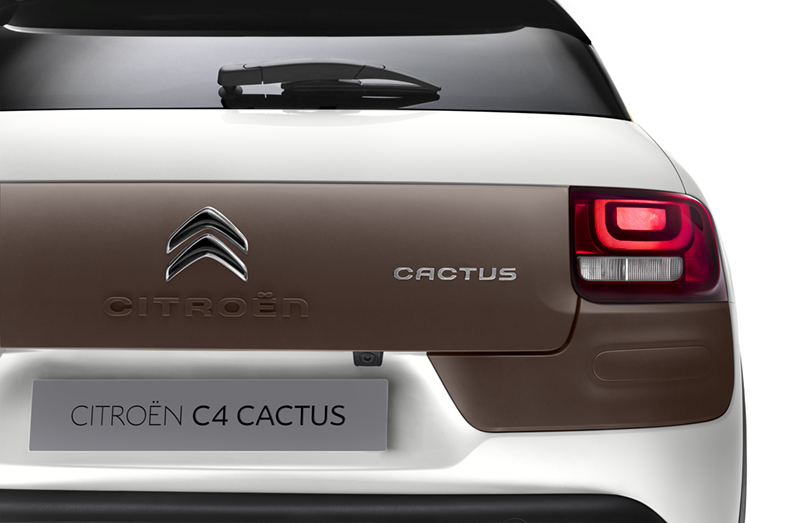 Citron
                                            C4 Cactus