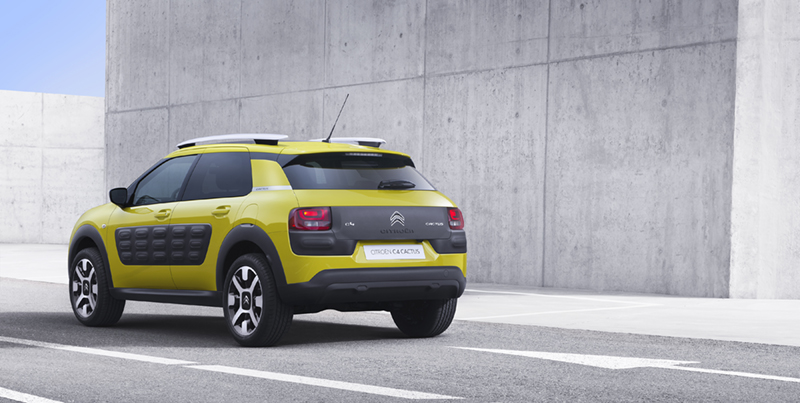 Citron C4 Cactus