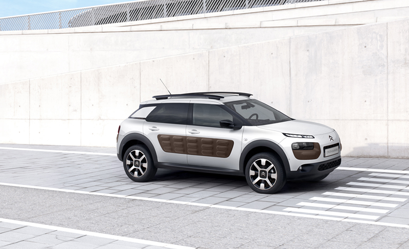 Citron
                                          C4 Cactus