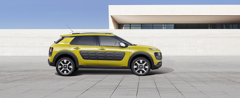 Citron C4 Cactus