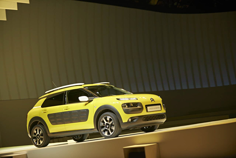 Citron
                                          C4 Cactus